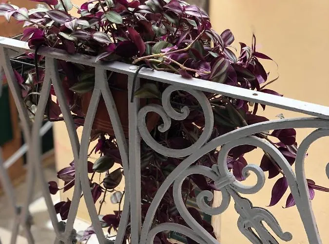 Historico Apartment, Corfu Old Town Апартаменты