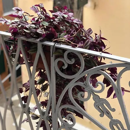 Historico Apartment, Corfu Old Town Appartement